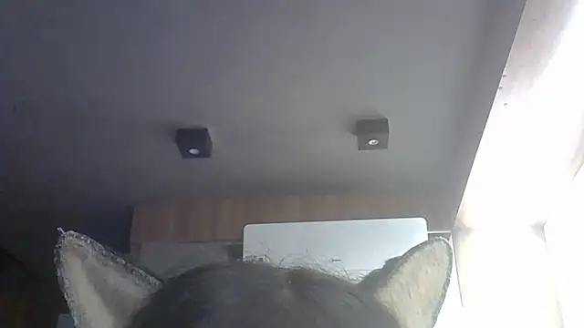 Snapshot of Skinny-Kitten chatting on May 27, 4:37 pm Skinny-Kitten online show from May 27, 4:37 pm