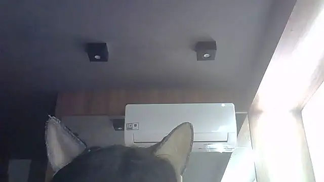 Snapshot of Skinny-Kitten chatting on May 28, 4:59 pm Skinny-Kitten online show from May 28, 4:59 pm
