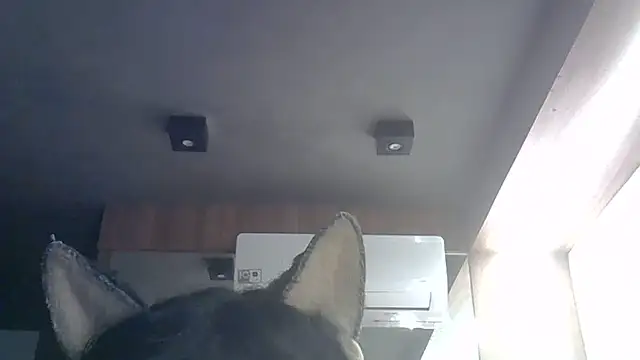 Snapshot of Skinny-Kitten chatting on May 29, 9:29 am Skinny-Kitten online show from May 29, 9:29 am