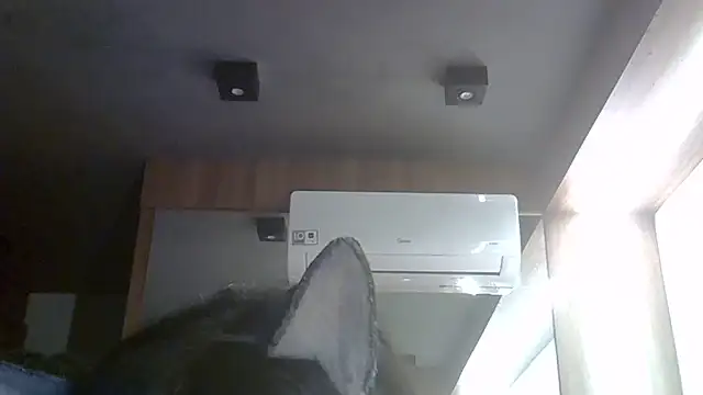 Snapshot of Skinny-Kitten chatting on May 30, 6:38 pm Skinny-Kitten online show from May 30, 6:38 pm