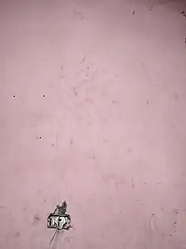 Snapshot of Sliced_Digit chatting on March 9, 10:41 pm Sliced Digit online show from March 9, 10:41 pm