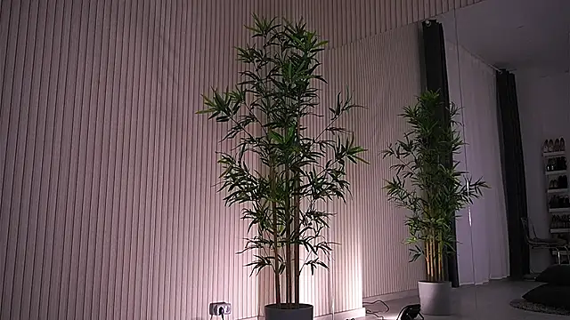 Abbela White online show from January 23, 9:39 am