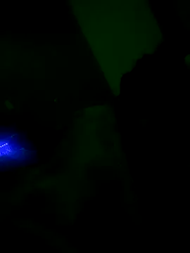 shauntaeme online show from December 18, 9:48 am