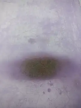 Snapshot of Kannadaboymanu chatting on March 18, 4:59 pm Kannadaboymanu online show from March 18, 4:59 pm