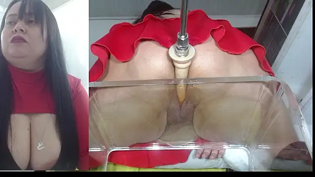 sammyEvans   online show from November 7, 11:10 am