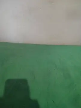  Scorpion  online show from February 11, 7:38 pm