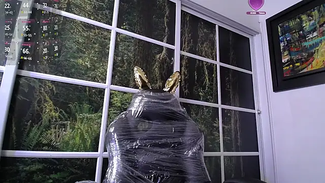 darshajaya online show from January 16, 10:32 am