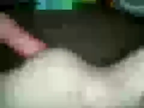 Snapshot of xxxlecram chatting on January 15, 11:53 am xxxlecram online show from January 15, 11:53 am