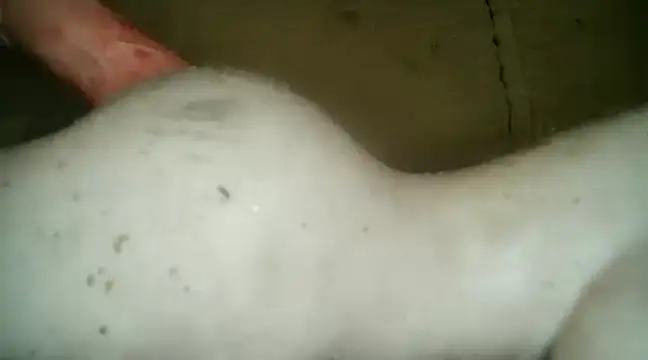 Snapshot of xxxlecram chatting on March 5, 9:48 pm xxxlecram online show from March 5, 9:48 pm