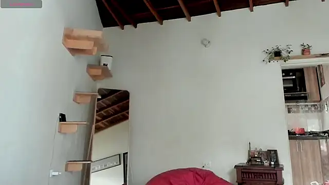 Rainbow leia online show from February 21, 7:26 pm