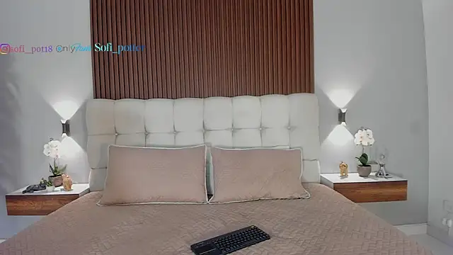 sofi potter  online show from January 8, 4:20 pm