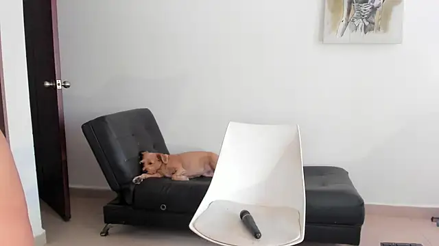 Snapshot of selene_king2 chatting on December 10, 6:17 pm selene king2 online show from December 10, 6:17 pm