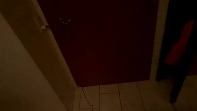 Snapshot of LeviXtreme chatting on December 15, 3:55 am LeviXtreme online show from December 15, 3:55 am