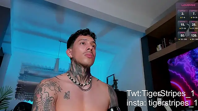 TigerStripes1  online show from February 12, 12:05 am