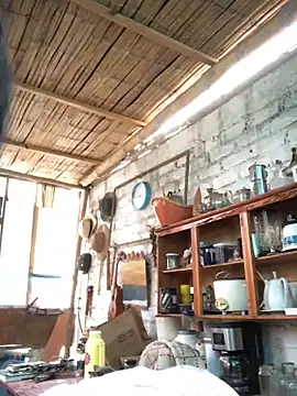 kvr27 online show from November 28, 11:35 am