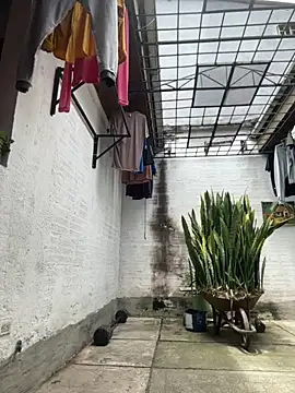 oliver price1 online show from September 10, 4:07 pm