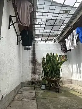 oliver price1 online show from September 15, 3:23 pm