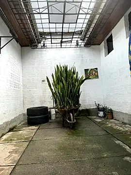 oliver price1 online show from October 27, 7:18 pm