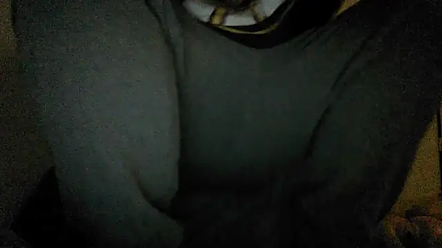 GeilerBull online show from November 12, 2:01 am